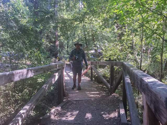 Bridge Over the Opal Creek on the Skyline-to-the-Sea Trail