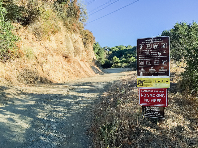 Stevens Creek Tony Look Trail