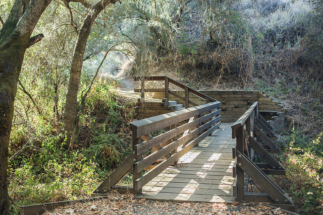 Stevens Creek Tony Look Trail